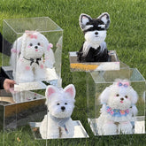 Hydrangeas Maltese Dog