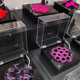 Preserved Roses Black Medium Gramophone