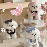 Light Luxury Chanel's Style Cute Dog