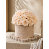 A detailed front view of a spherical champagne preserved rose arrangement nested perfectly in a natural travertine stone pot.