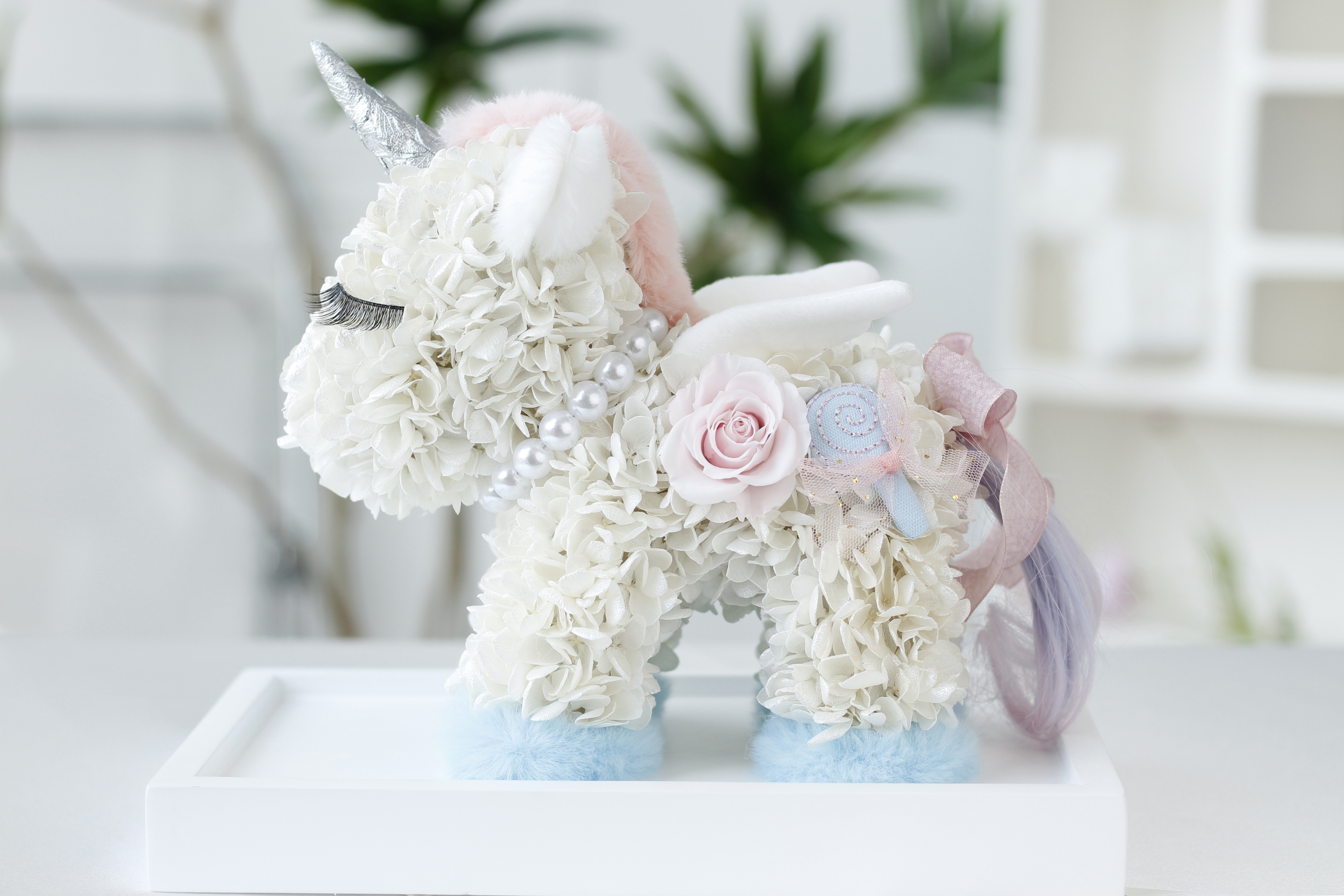 Hydrangeas Unicorn