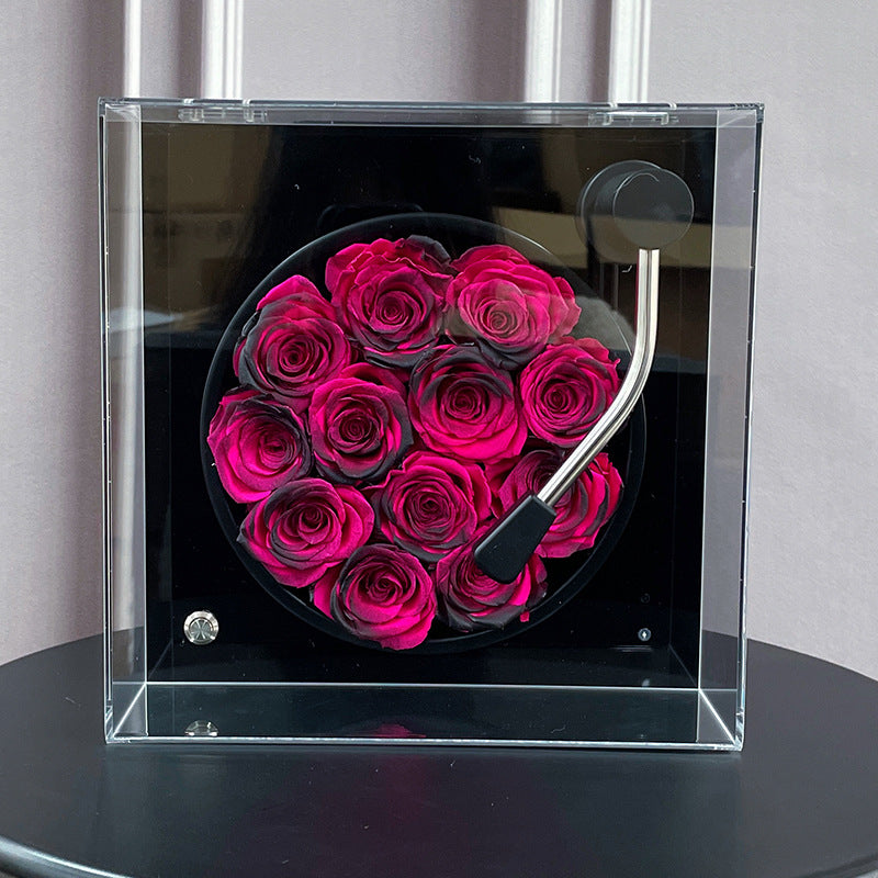 Preserved Roses Black Medium Gramophone