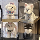 Our Maltese Dog Eternal Flower Ornament designed to express love and affection, this creative gift box blends cuteness with sophistication — perfect for romantic confessions, anniversaries, birthdays, or Valentine’s Day surprises. Bloom 3+ years.