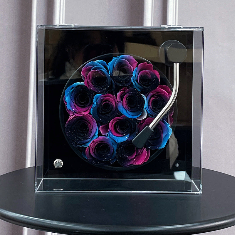 Preserved Roses Black Medium Gramophone