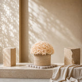 A dome arrangement of premium champagne preserved roses in a textured cylindrical travertine vase, styled on a stone pedestal with soft warm shadows for luxury home decor.