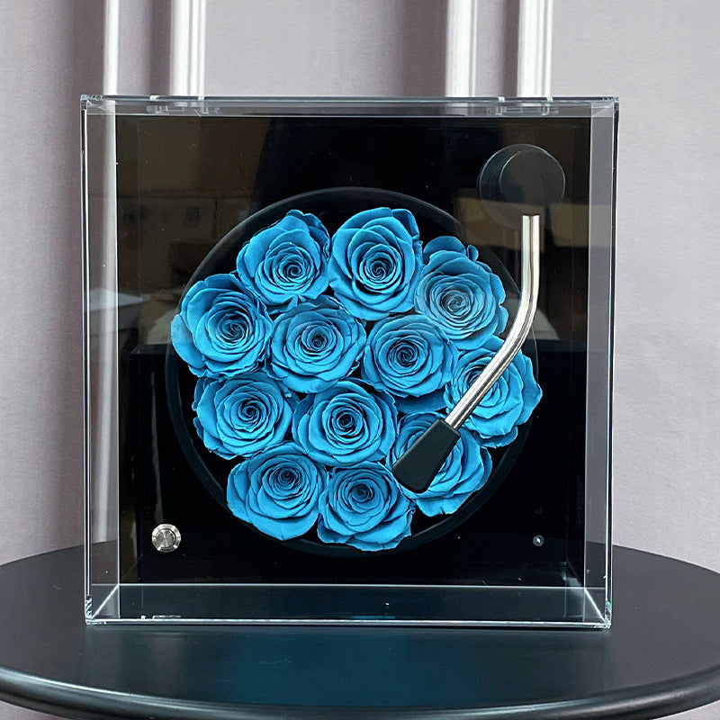 Preserved Roses Black Medium Gramophone