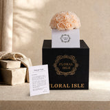 Floral Isle luxury unboxing experience featuring champagne eternal roses in a travertine vase next to a premium black and gold embossed gift box.
