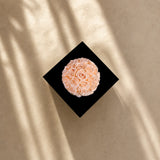 Symmetrical overhead top view of a flawless spherical dome arrangement of champagne preserved roses.