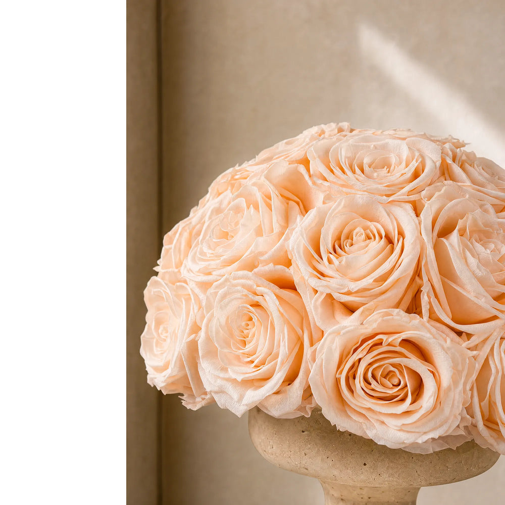 Top-down overhead angle of a champagne-preserved rose.