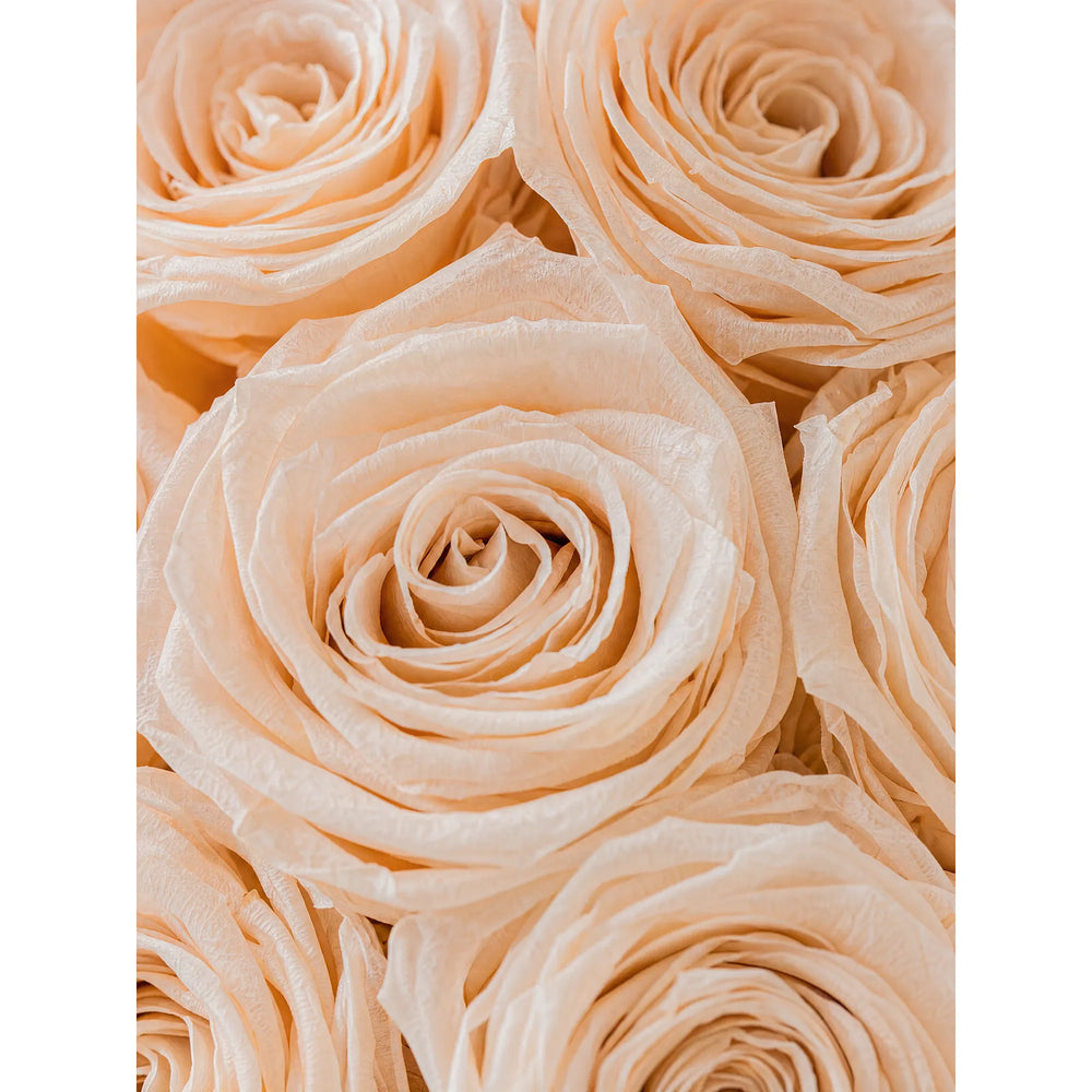 Extreme macro view of soft, realistic layers of a premium champagne preserved rose petal showcasing exceptional preservation quality.