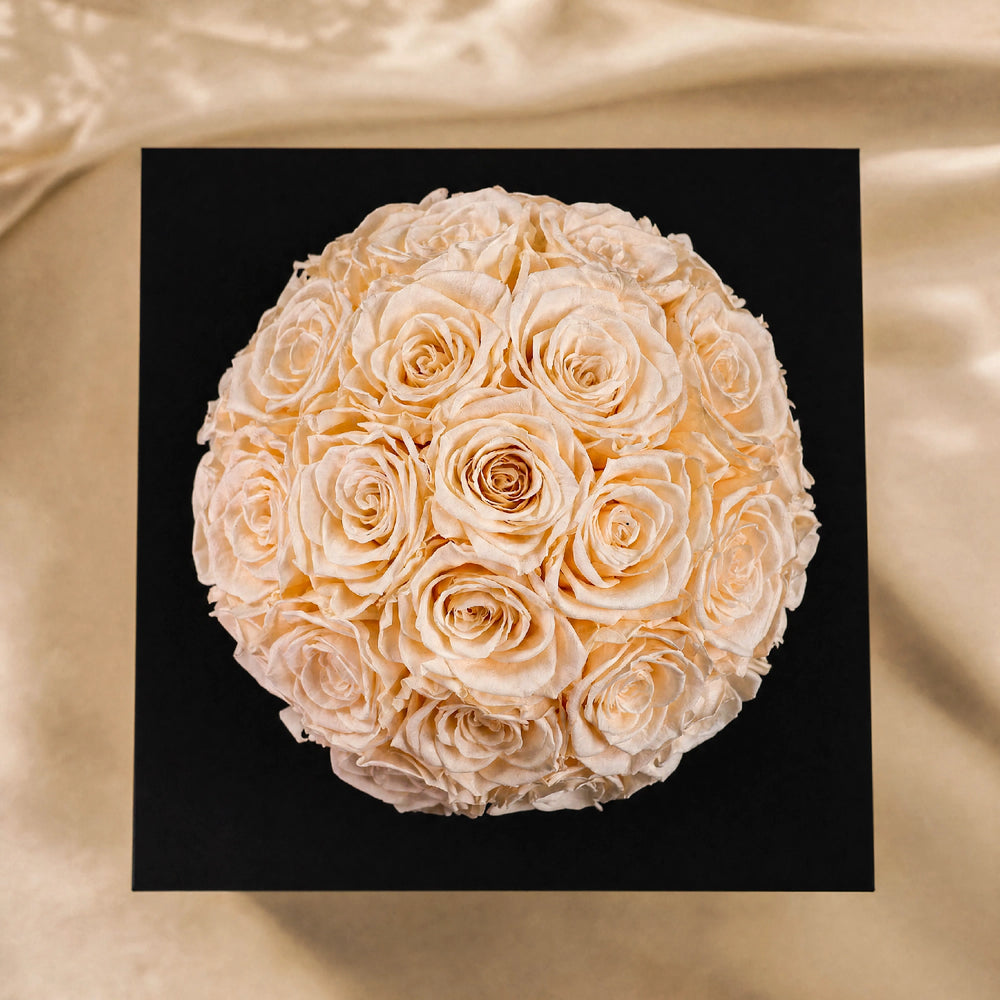 Top-down bird-eye view of a perfect dome-shaped champagne preserved rose arrangement on a black luxury gift box.
