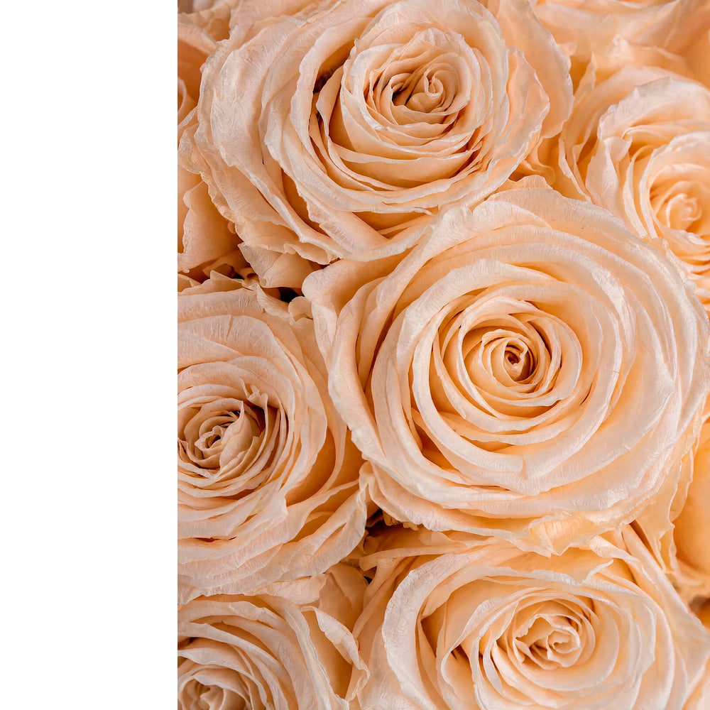 Macro view of grade-A preserved roses in champagne hues highlighting soft organic layers.